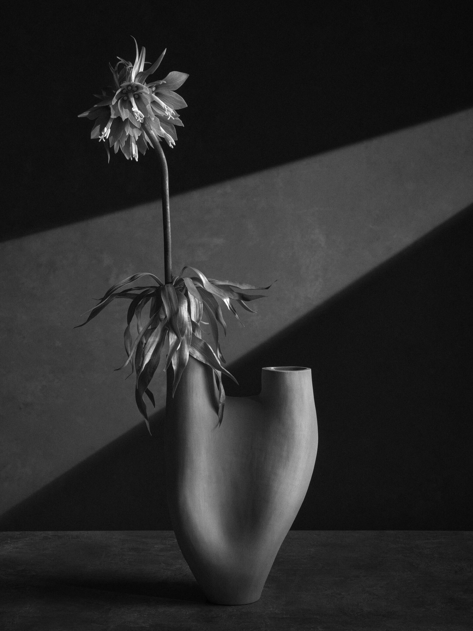 220331 Vasen0132 copy