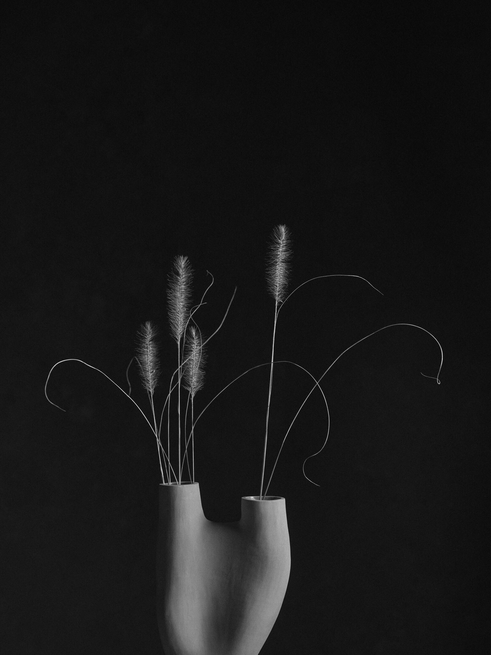 220331 Vasen0163 copy