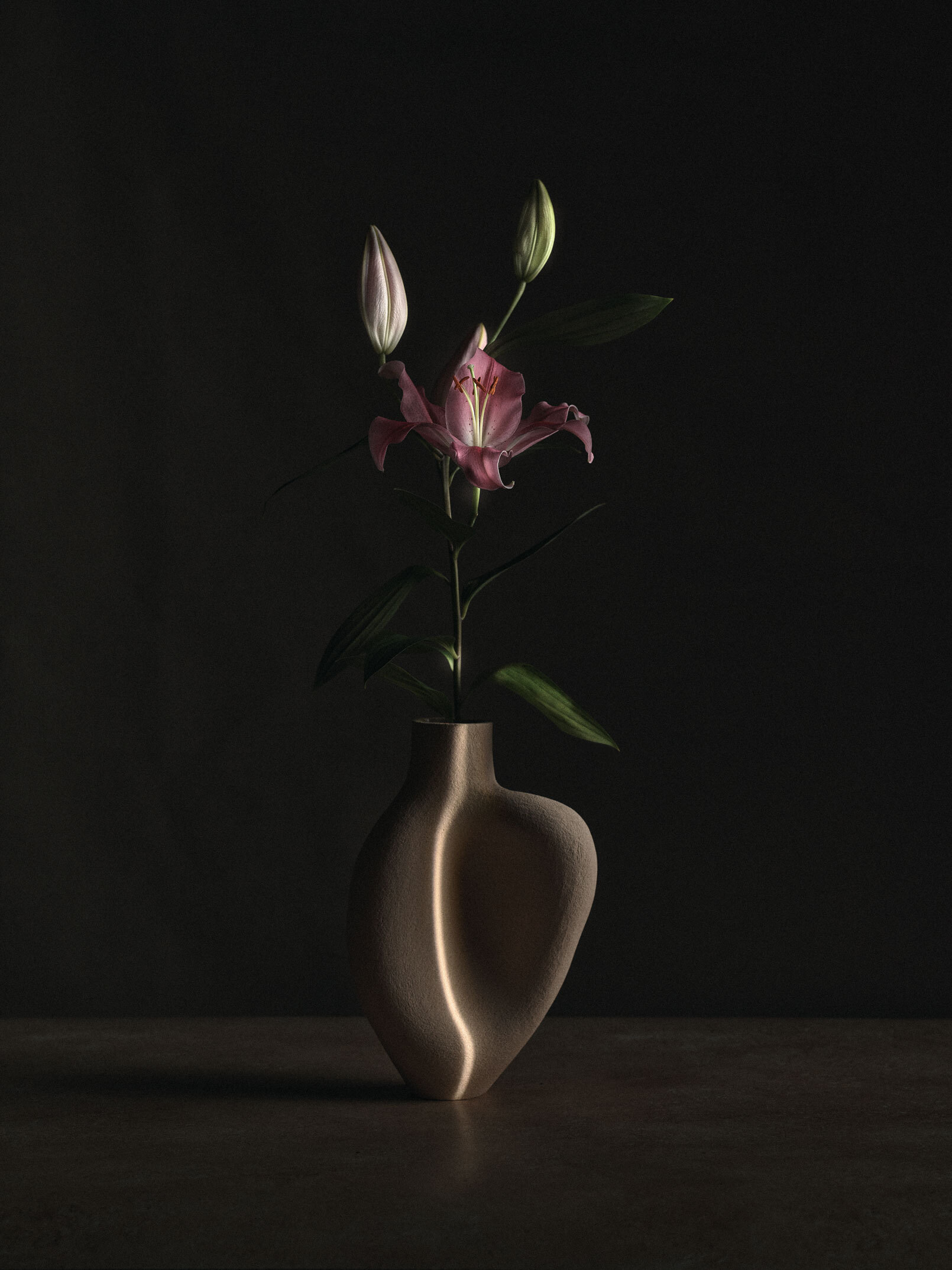 220331 Vasen0213 copy