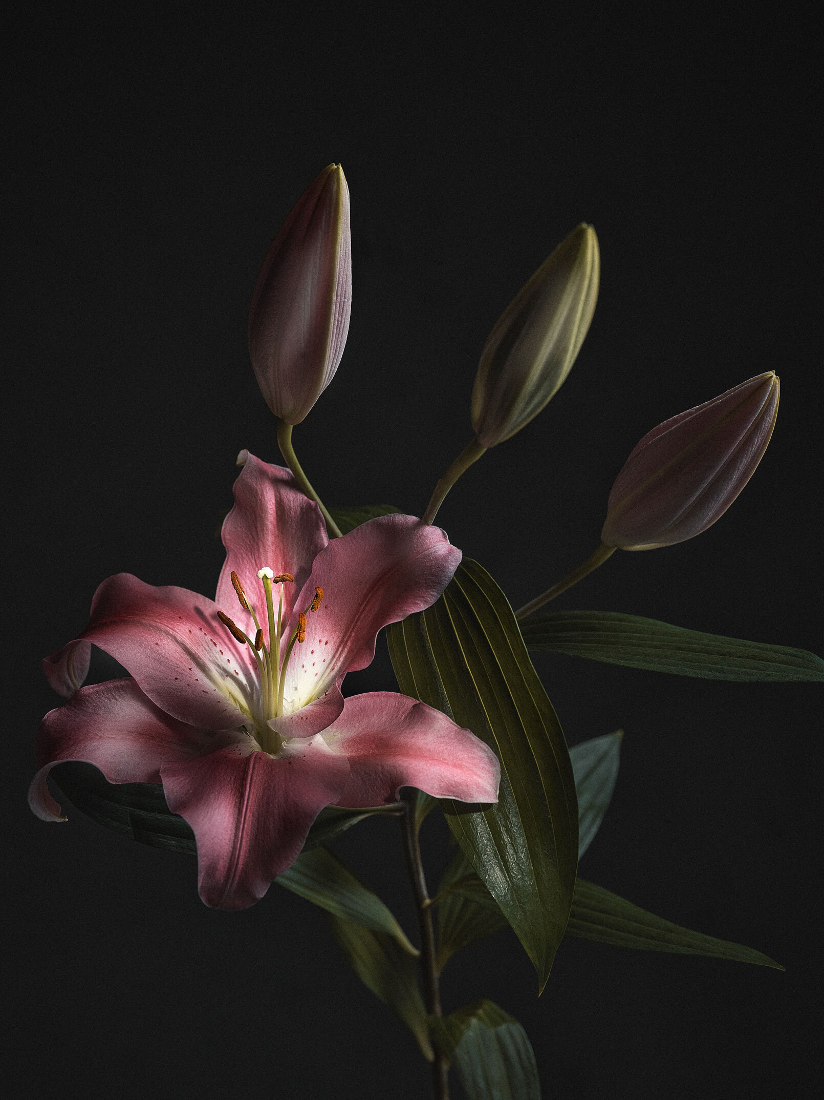 220331 Vasen0548 copy