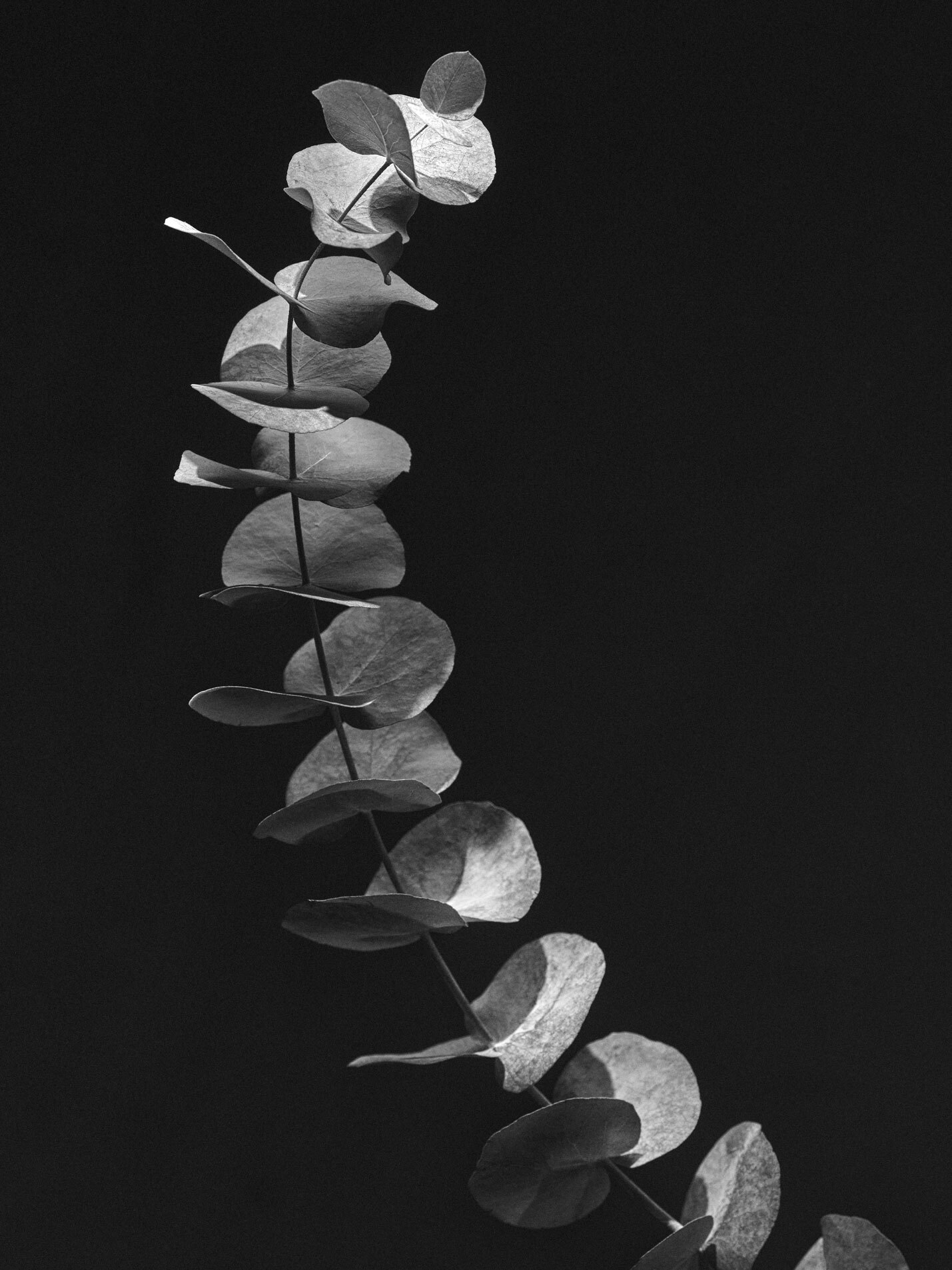 220331 Vasen0584 copy